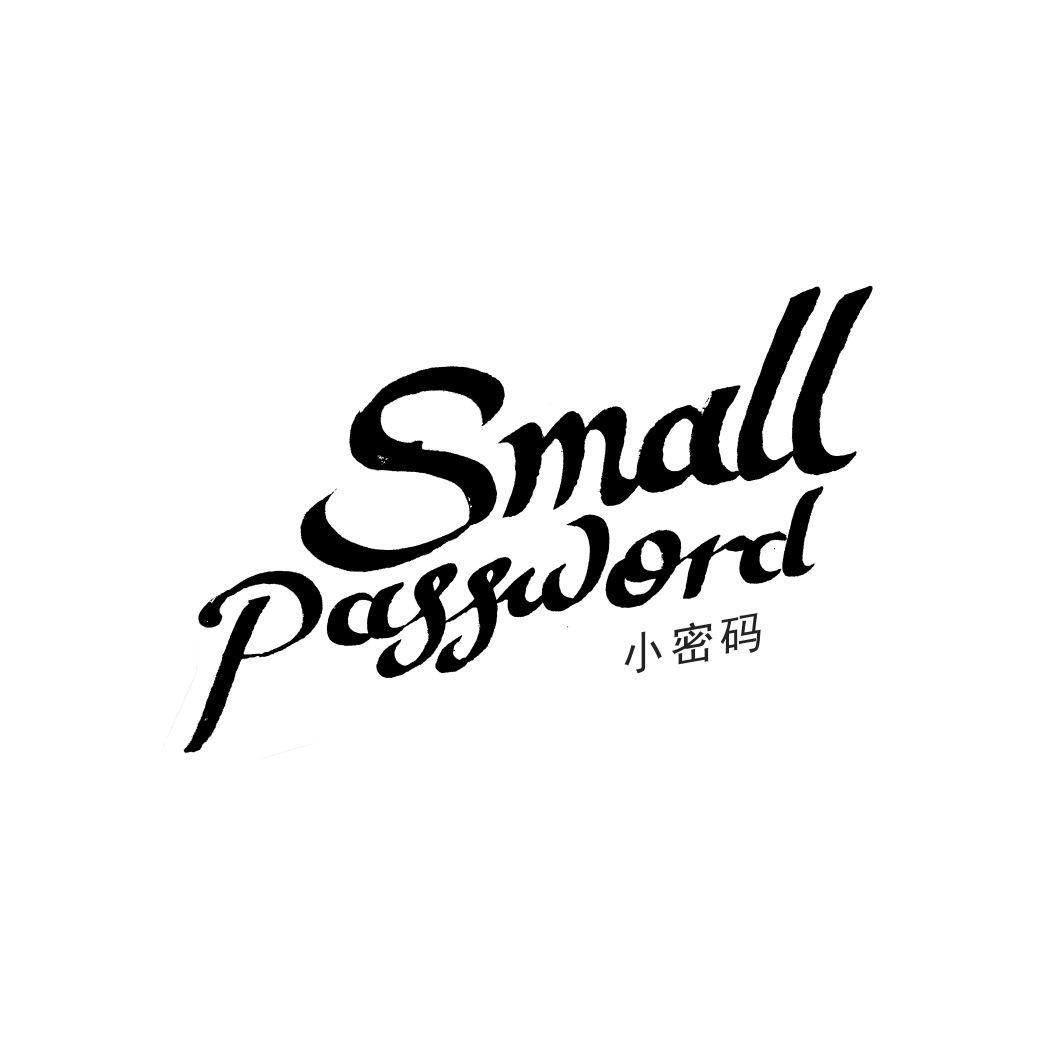 小密码SMALL PASSWORD
