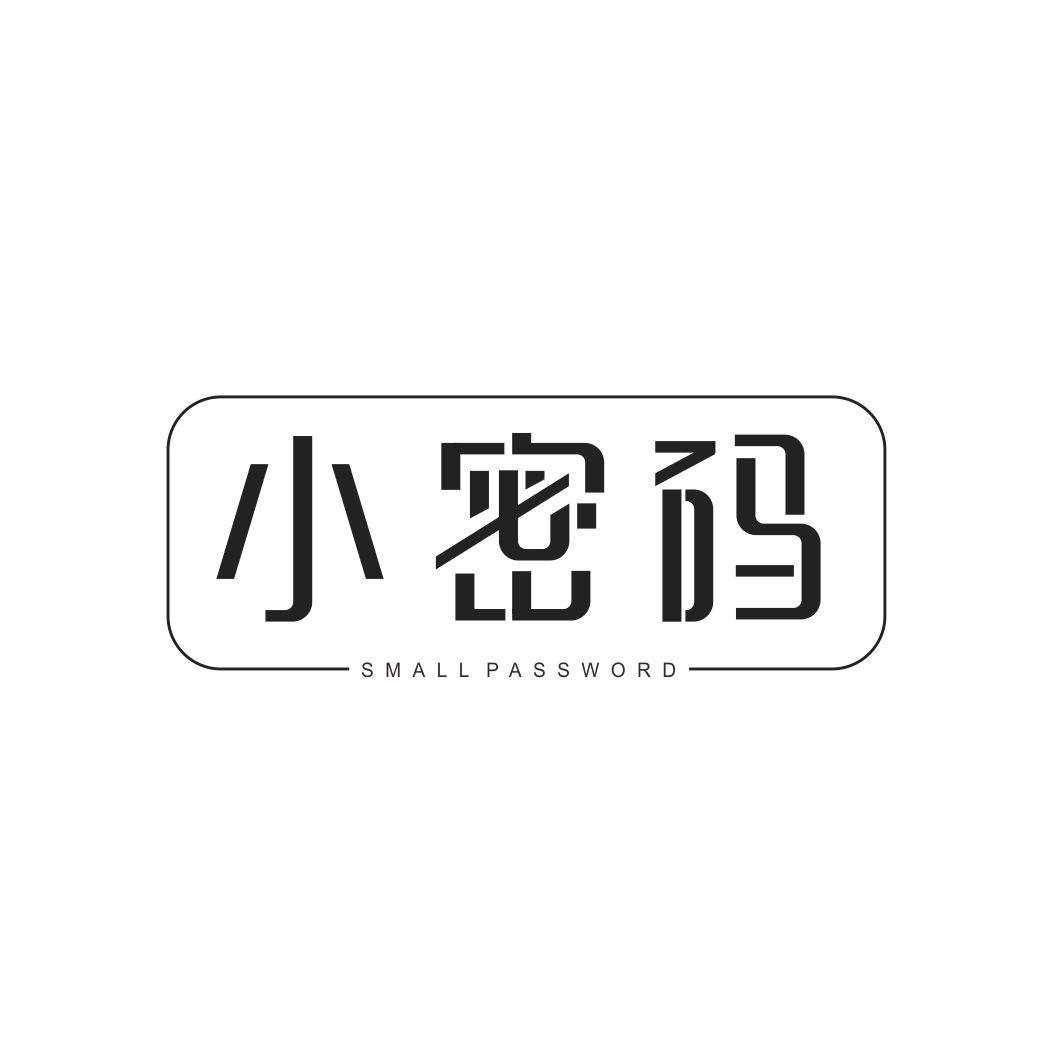 小密码SMALL PASSWORD