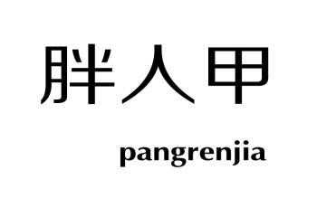 胖人甲