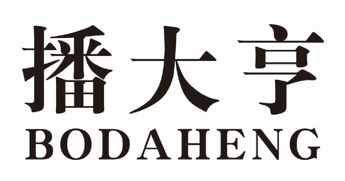 播大亨BODAHENG