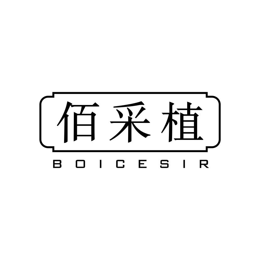 佰采植
BOICESIR