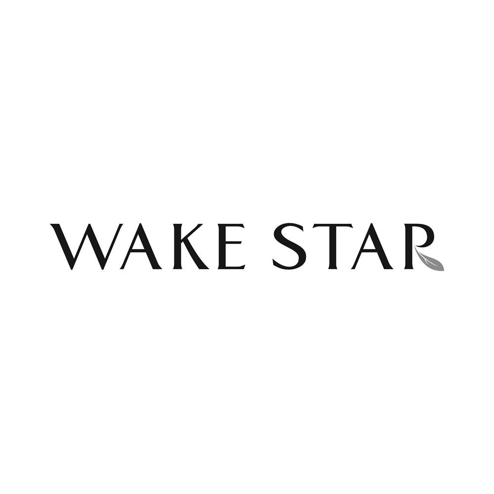 WAKE STAR“唤醒之星”