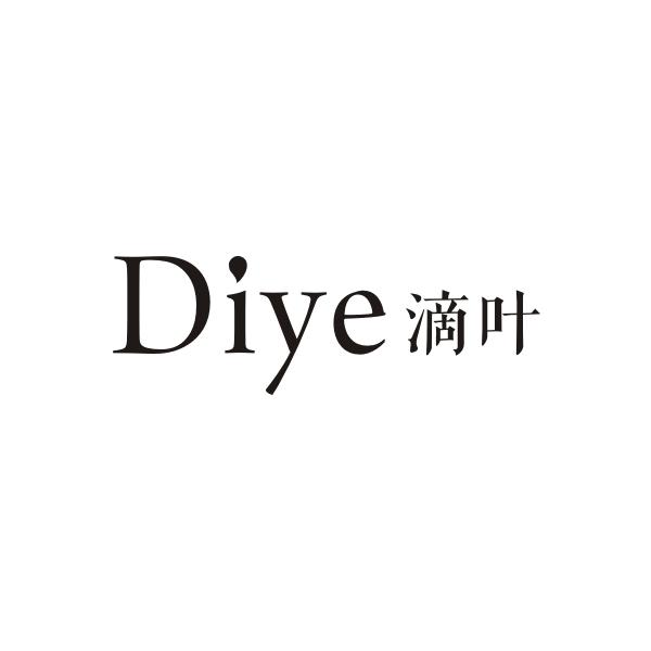 滴叶DIYE
