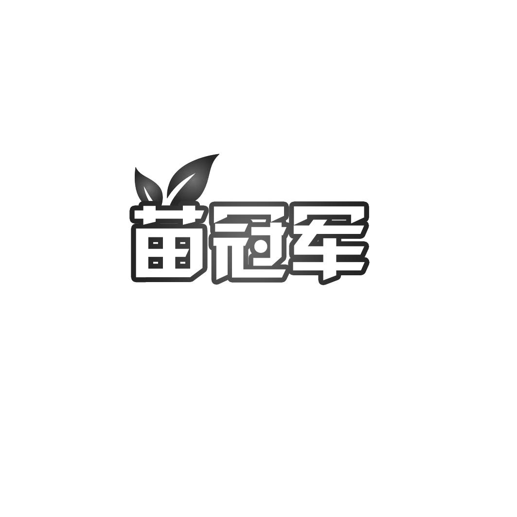 苗冠军