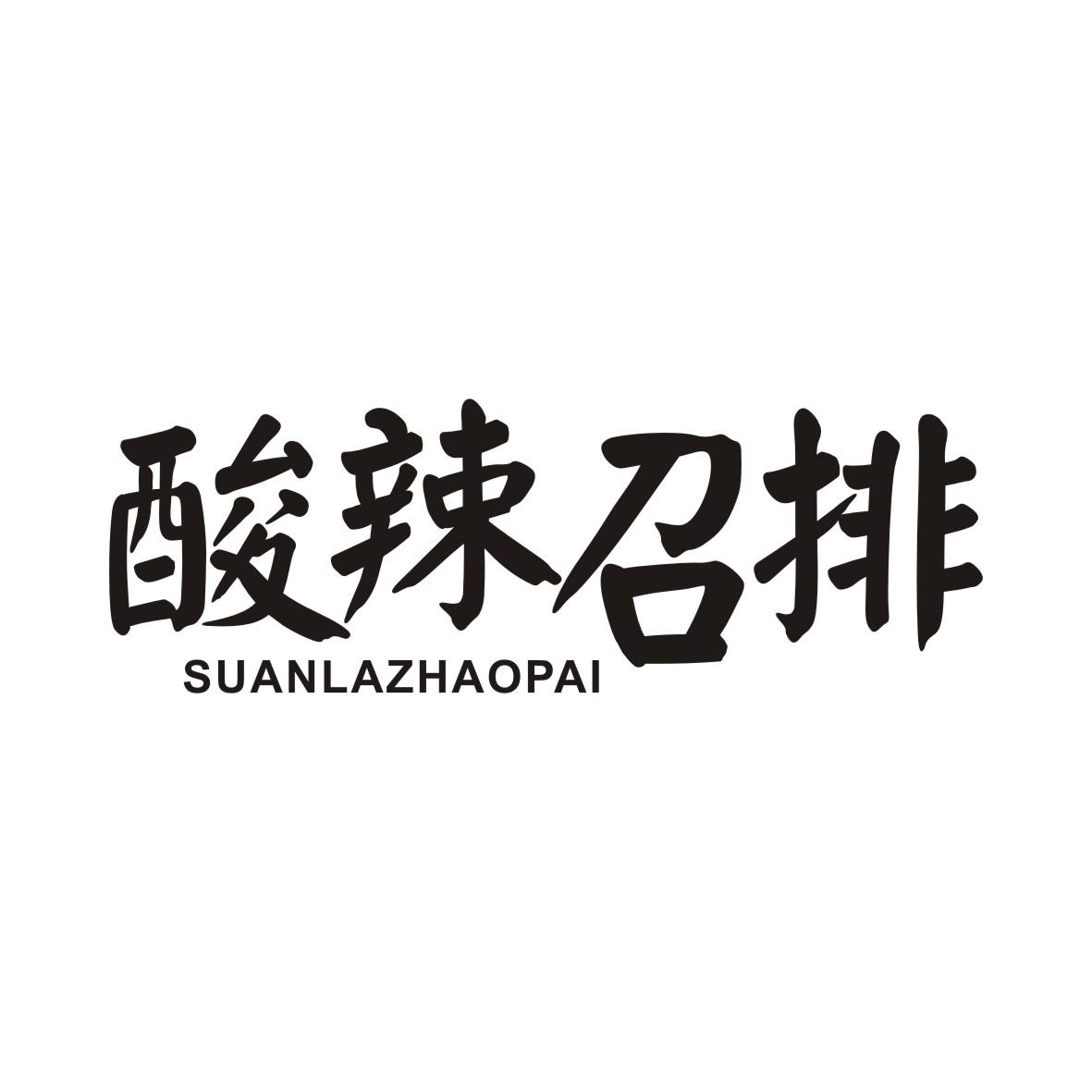 酸辣召排SUANLAZHAOPAI