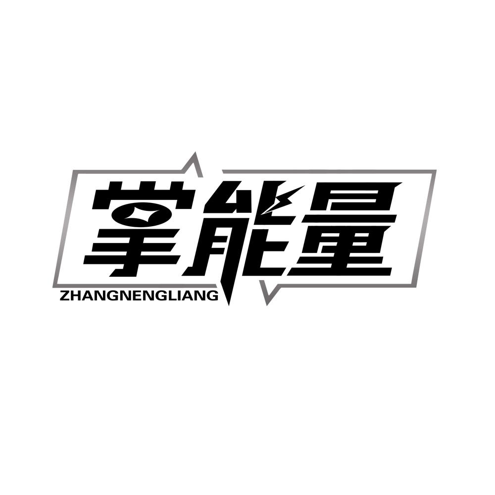 掌能量