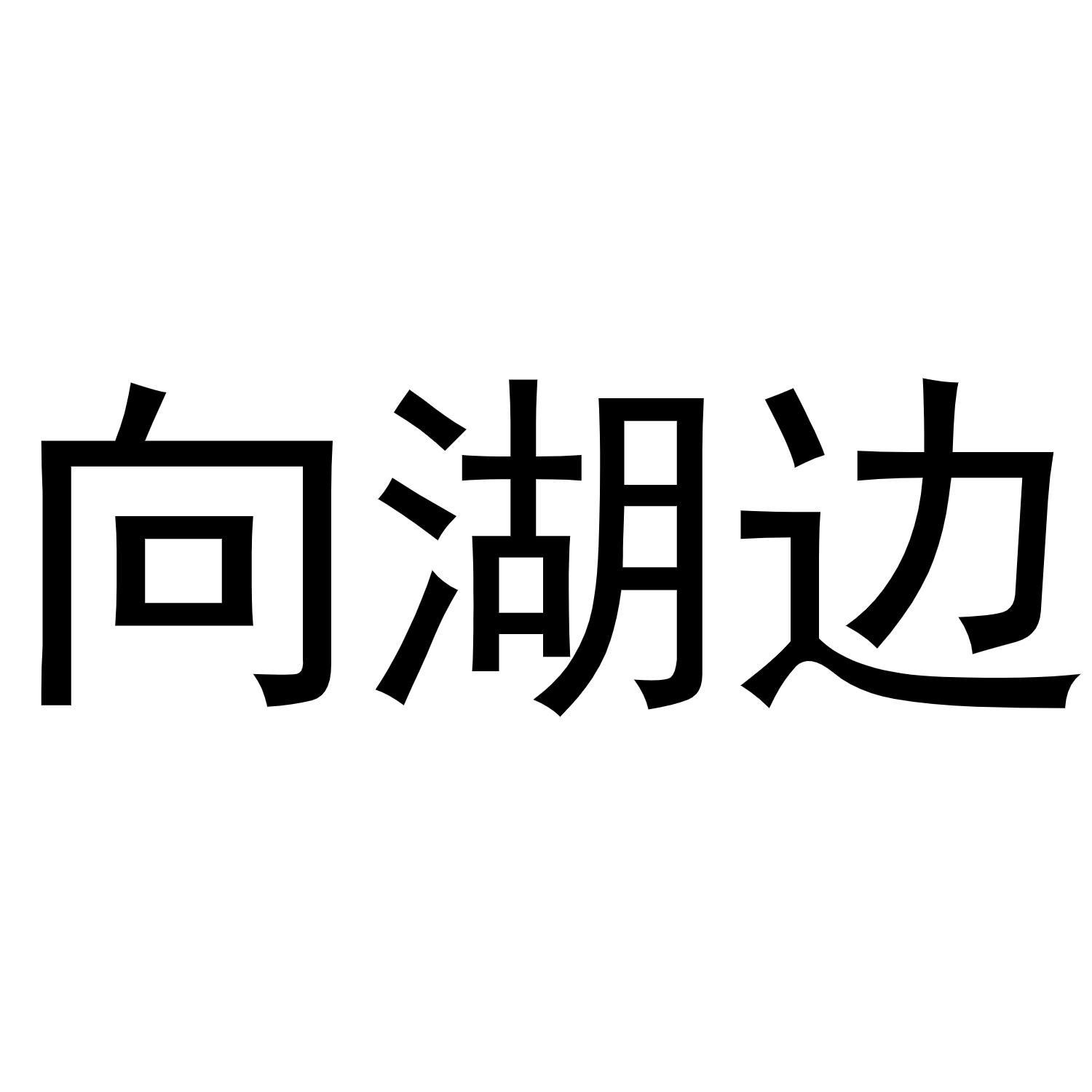 向湖边