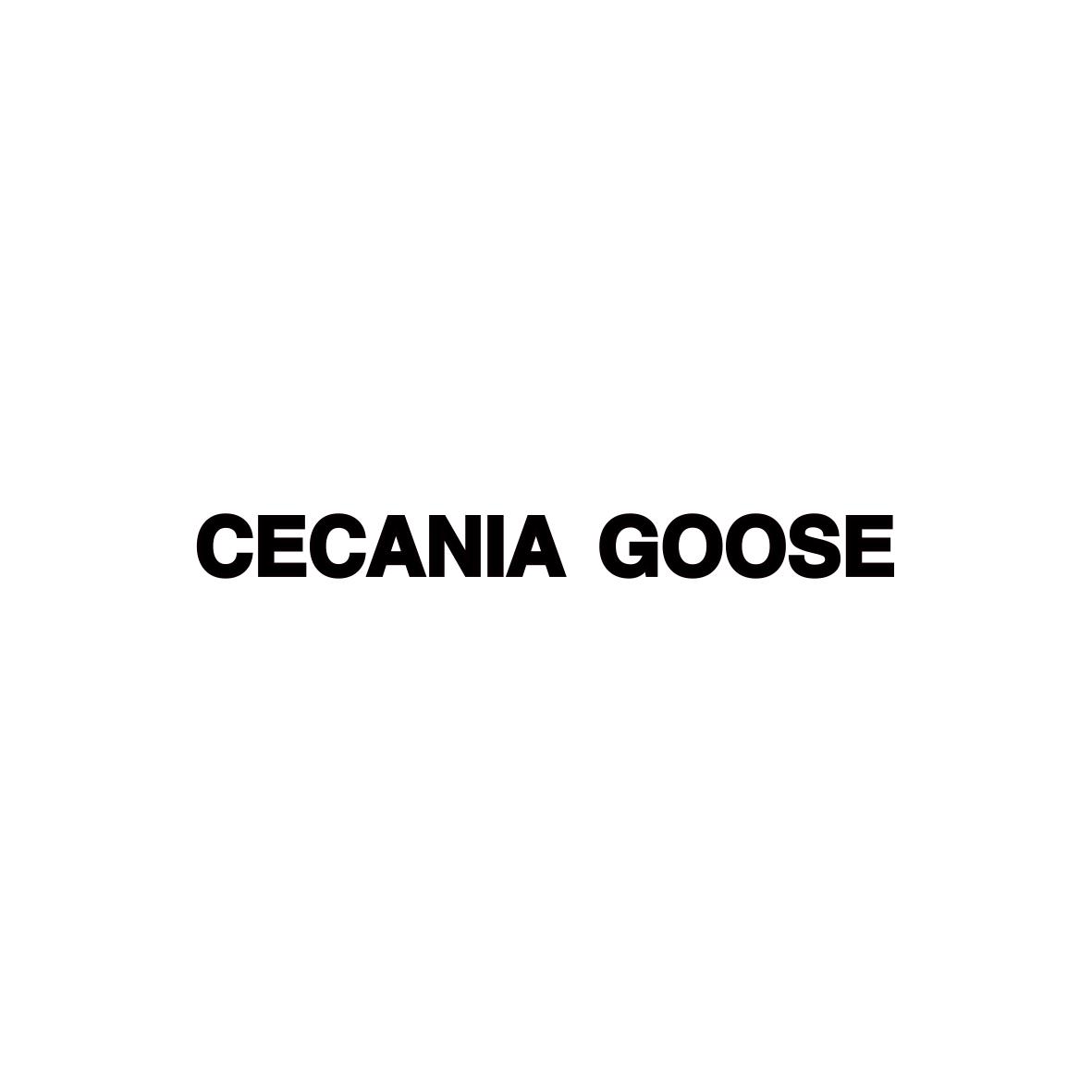CECANIA GOOSE                   