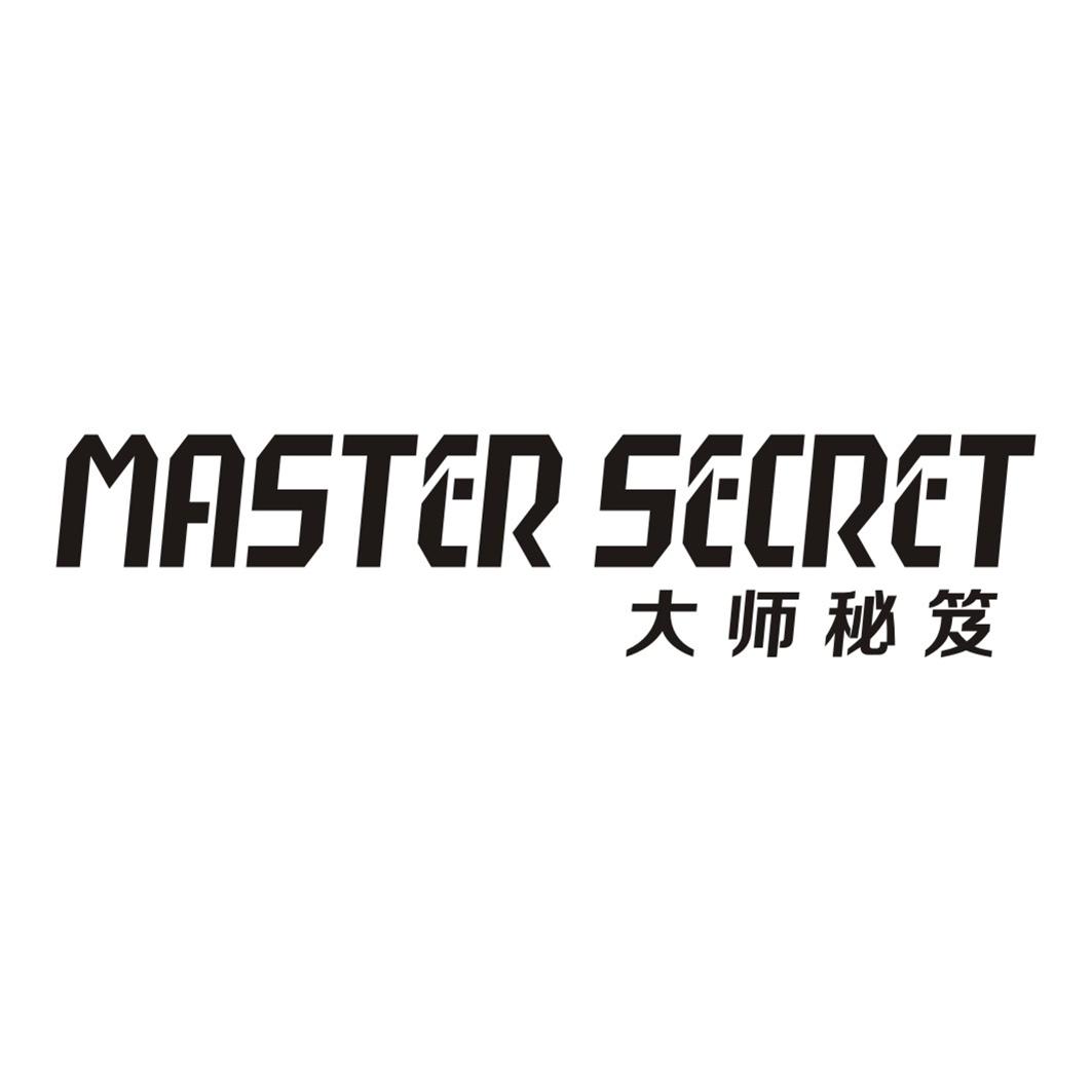 大师秘笈MASTER SECRET