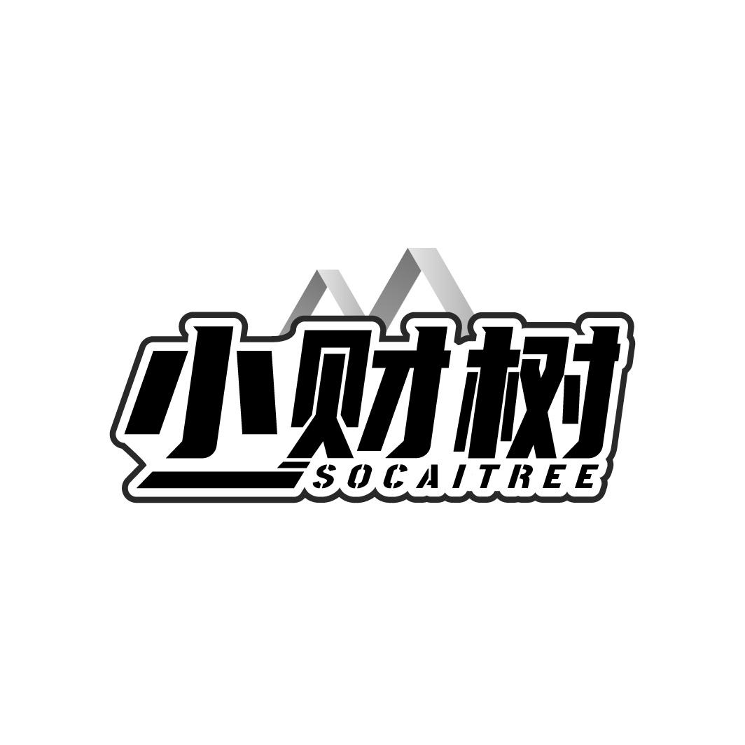 小财树
SOCAITREE