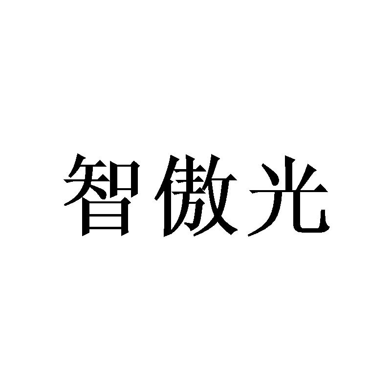智傲光