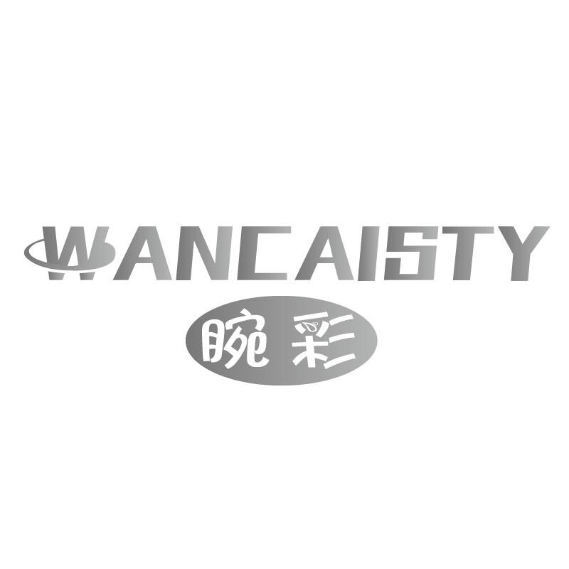 腕彩WANCAISTY