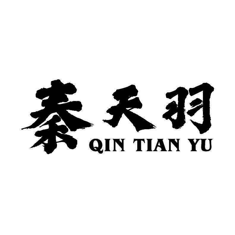 秦天羽+拼音