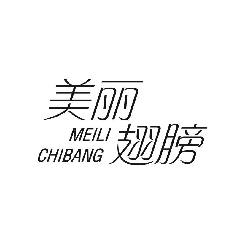 美丽翅膀