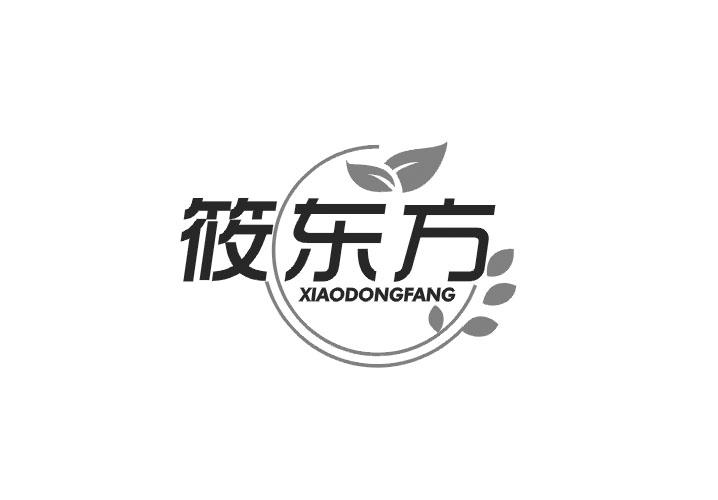 筱东方