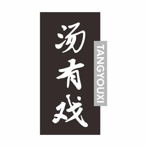 汤有戏