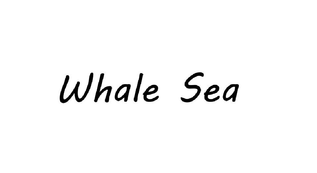 WHALE SEA