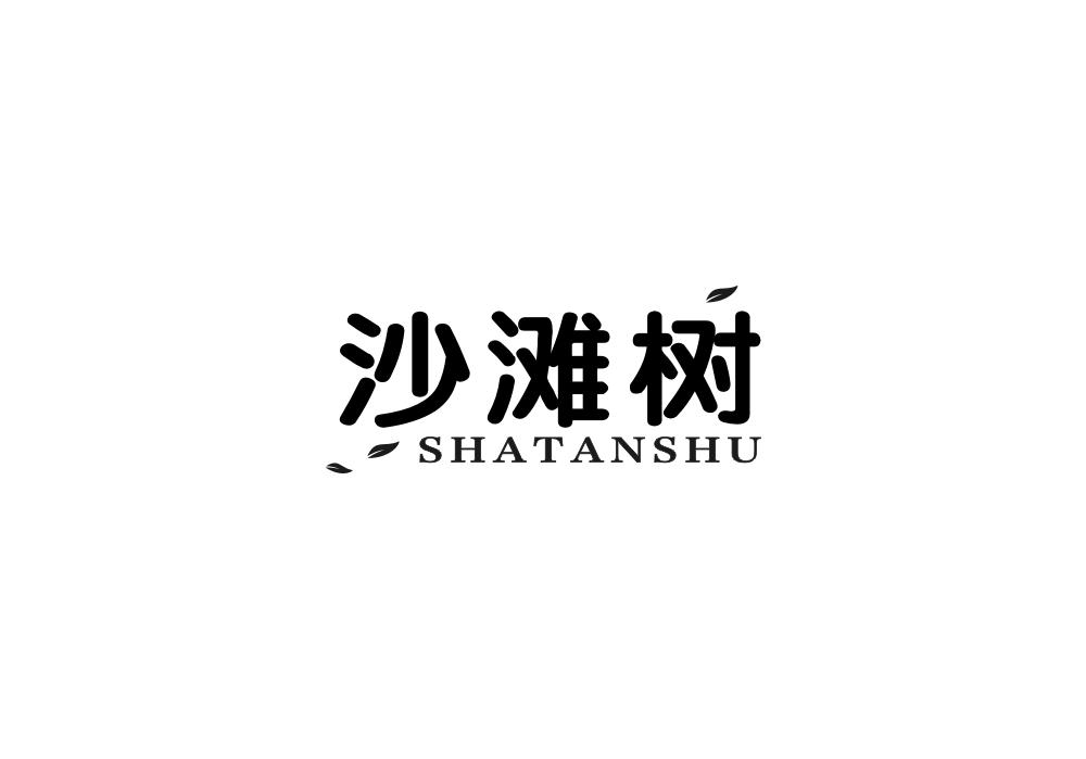 沙滩树