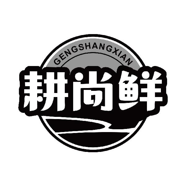 耕尚鲜
gengshangxian