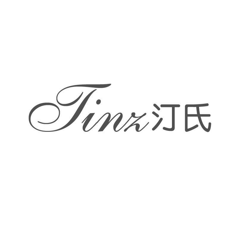 TINZ汀氏
