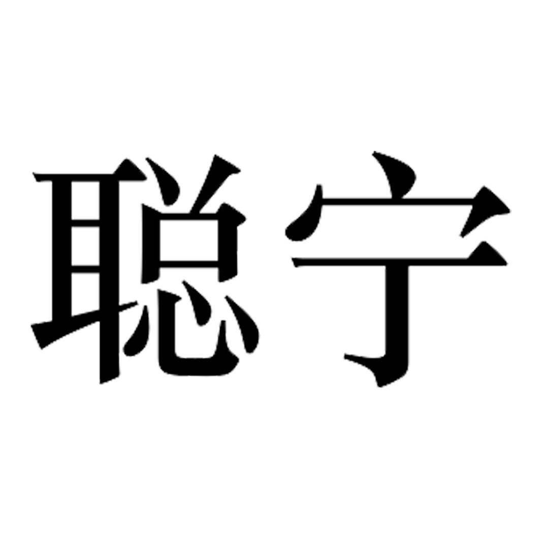 聪宁