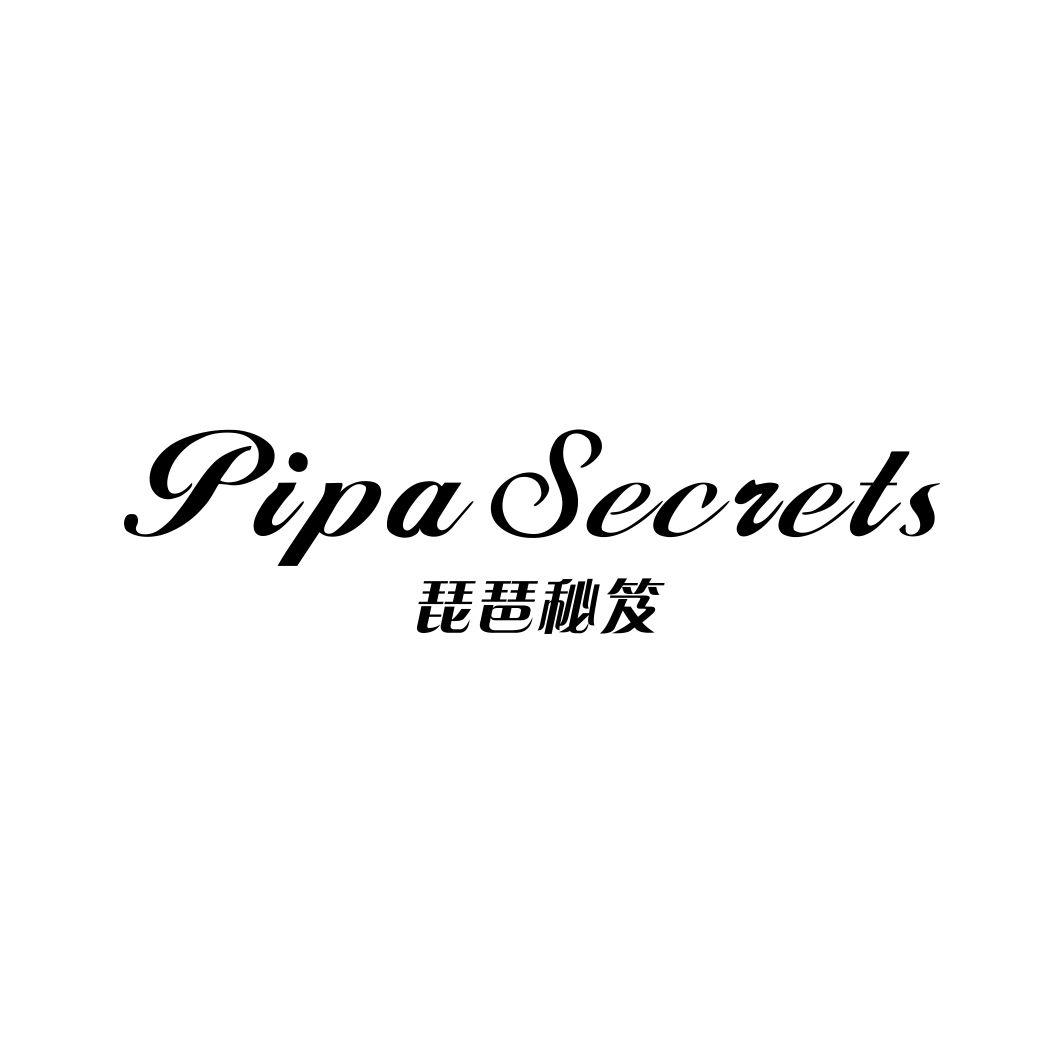 琵琶秘笈PIPA SECRETS