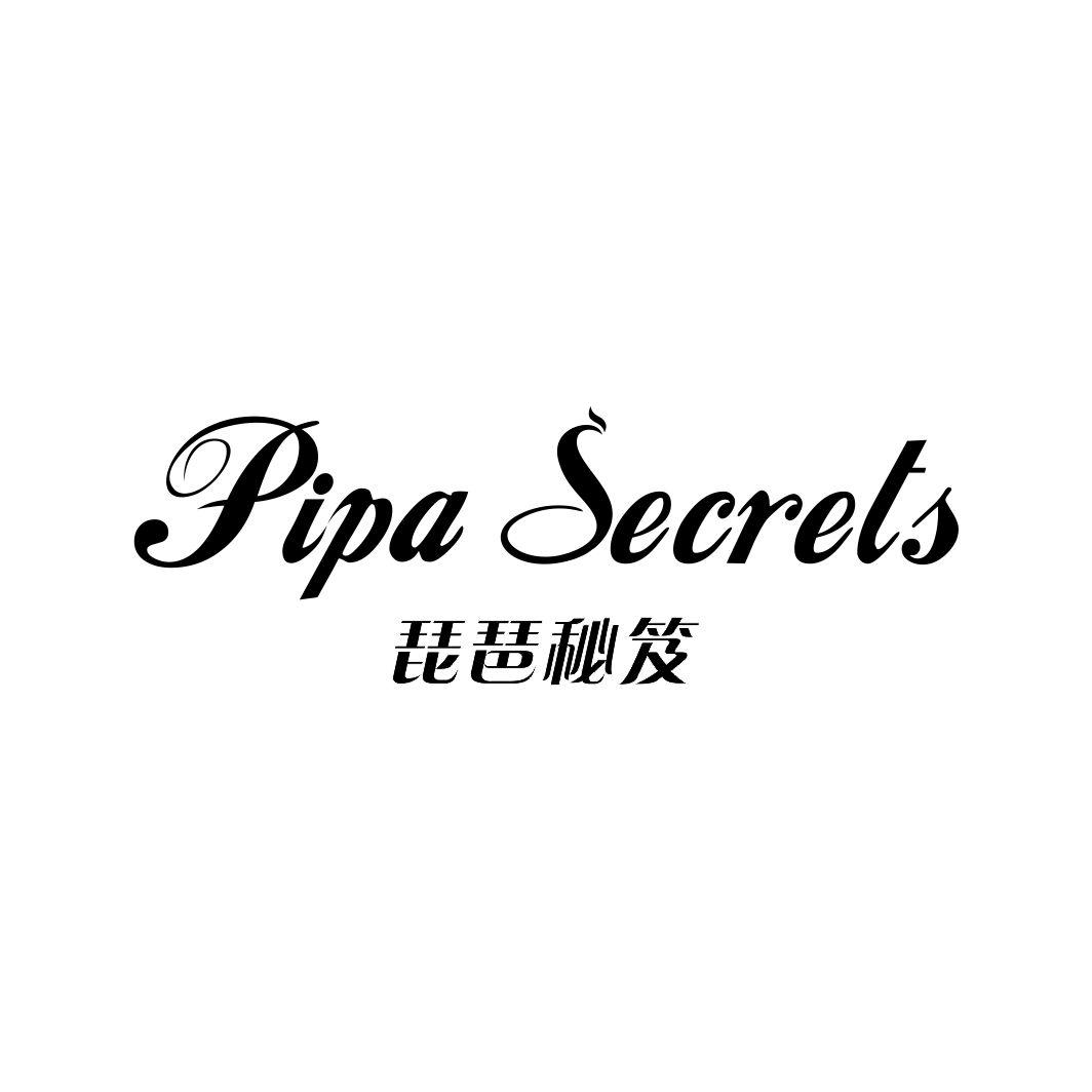 琵琶秘笈PIPA SECRETS