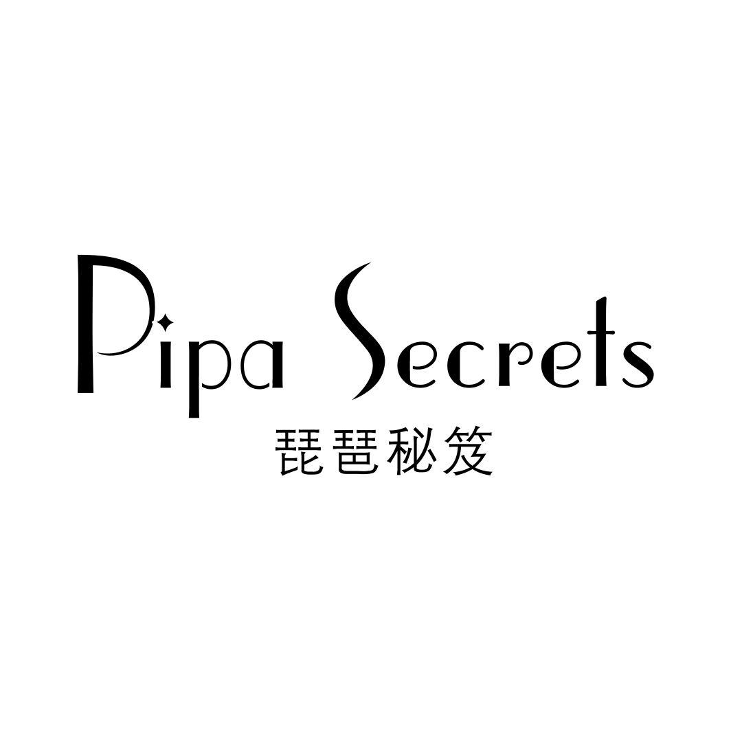 琵琶秘笈PIPA SECRETS