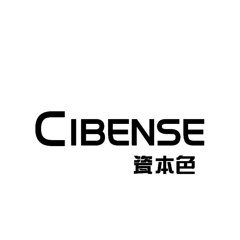 瓷本色