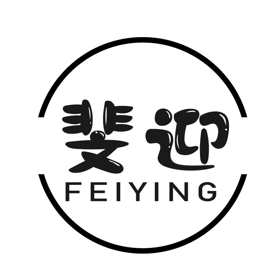 斐迎FEIYING