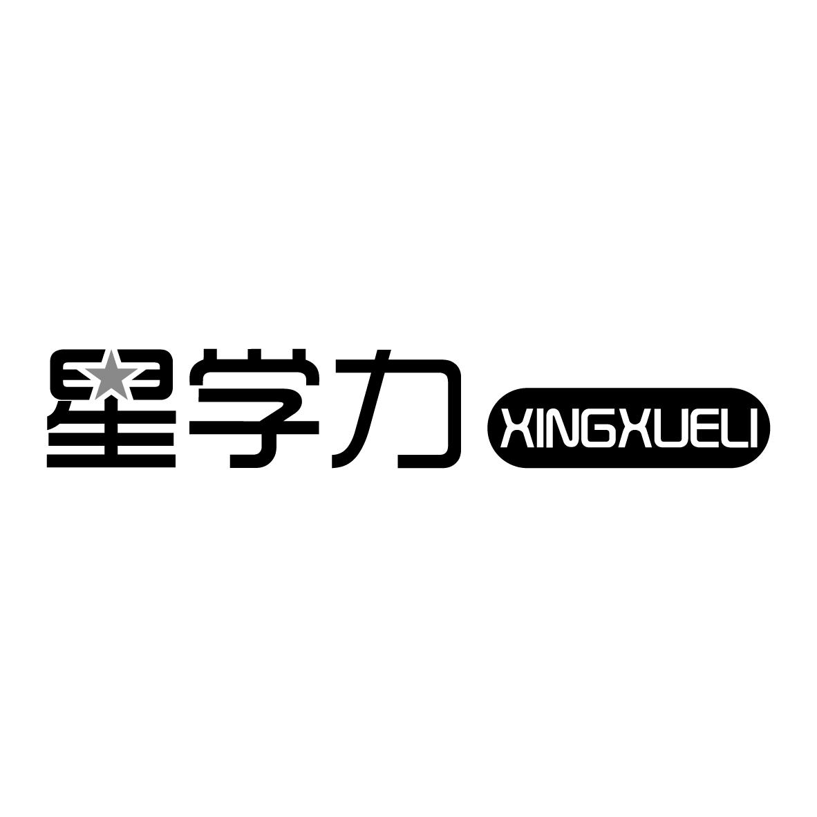 星学力XINGXUELI