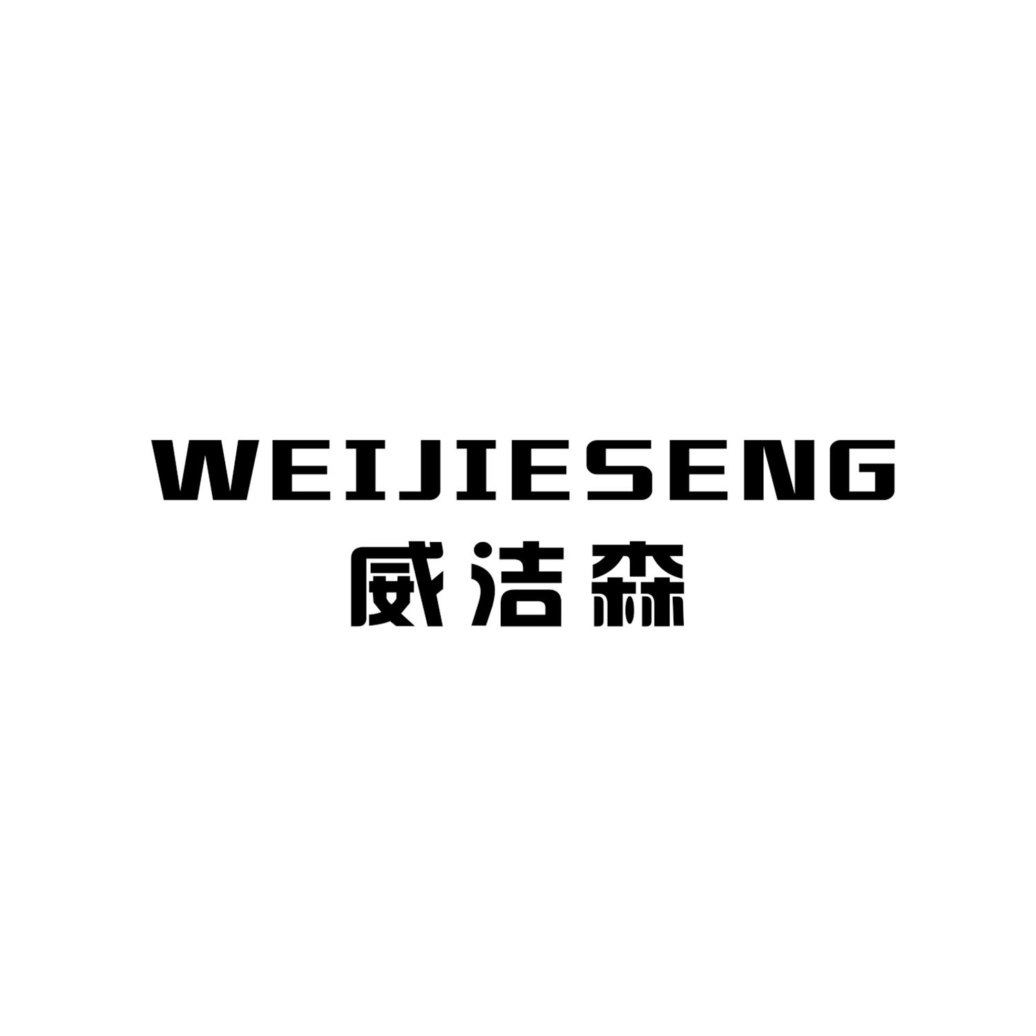 威洁森 WEIJIESENG
