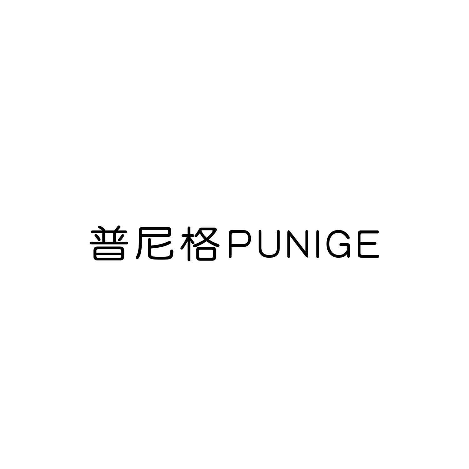 普尼格
