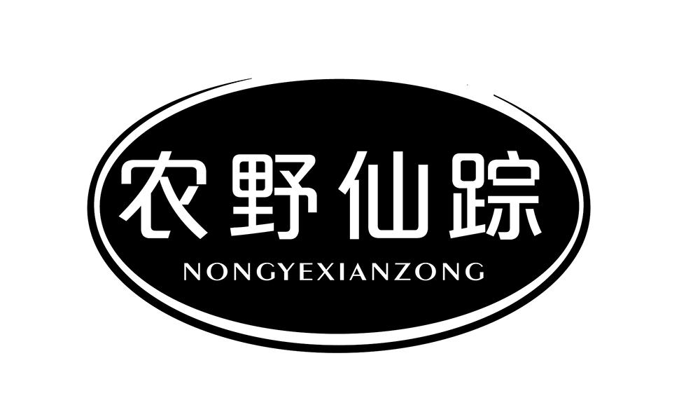 农野仙踪