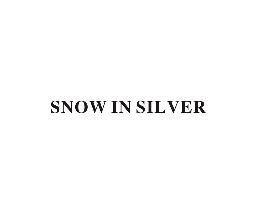 SNOW IN SILVER