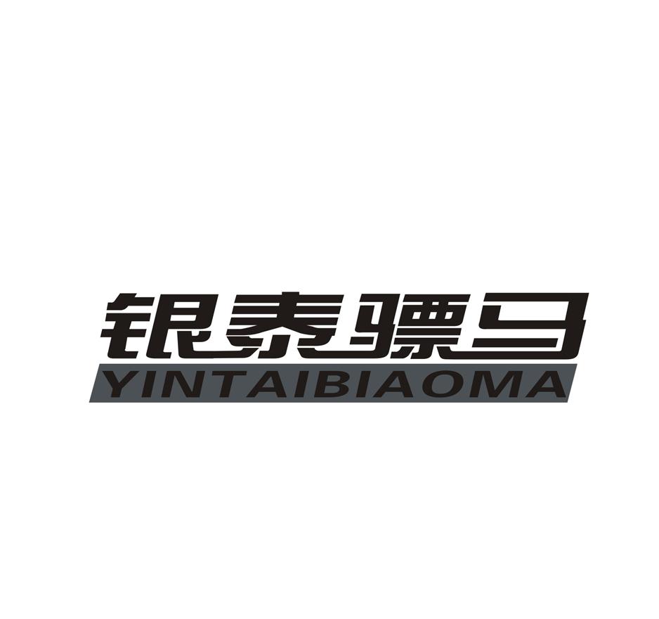银泰骠马