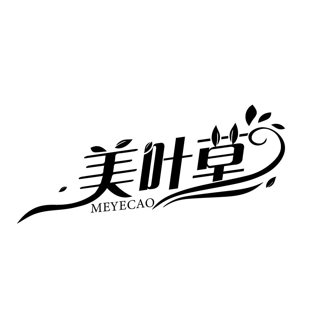 美叶草