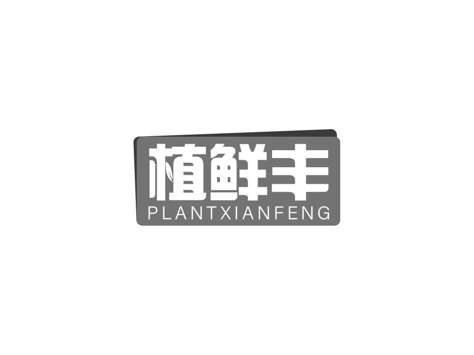 植鲜丰 PLANTXIANFENG