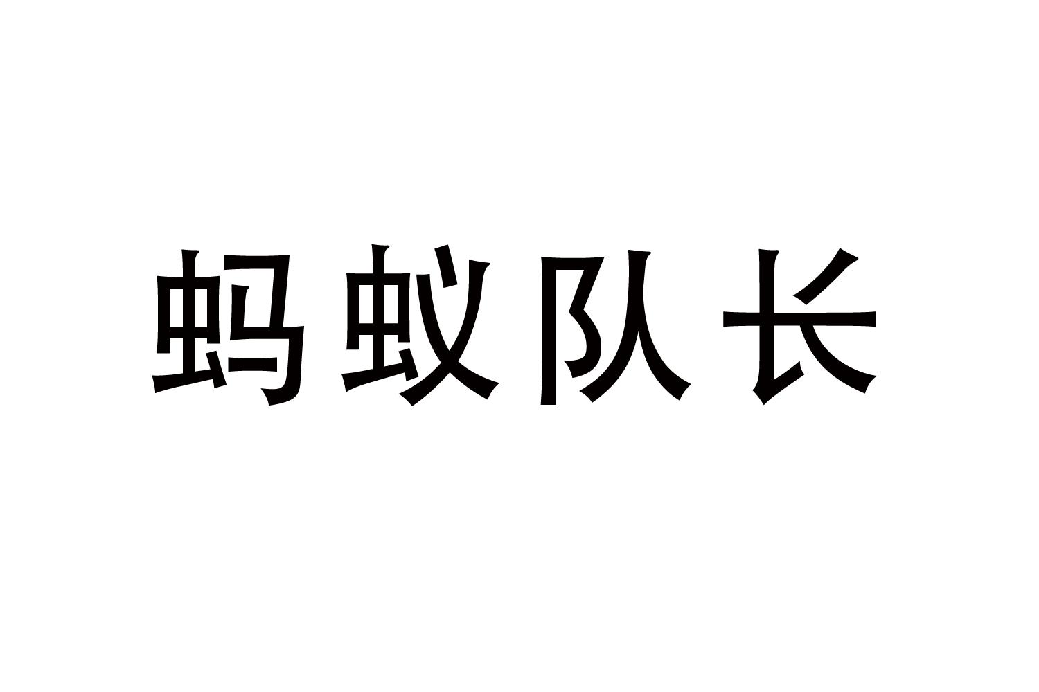 蚂蚁队长