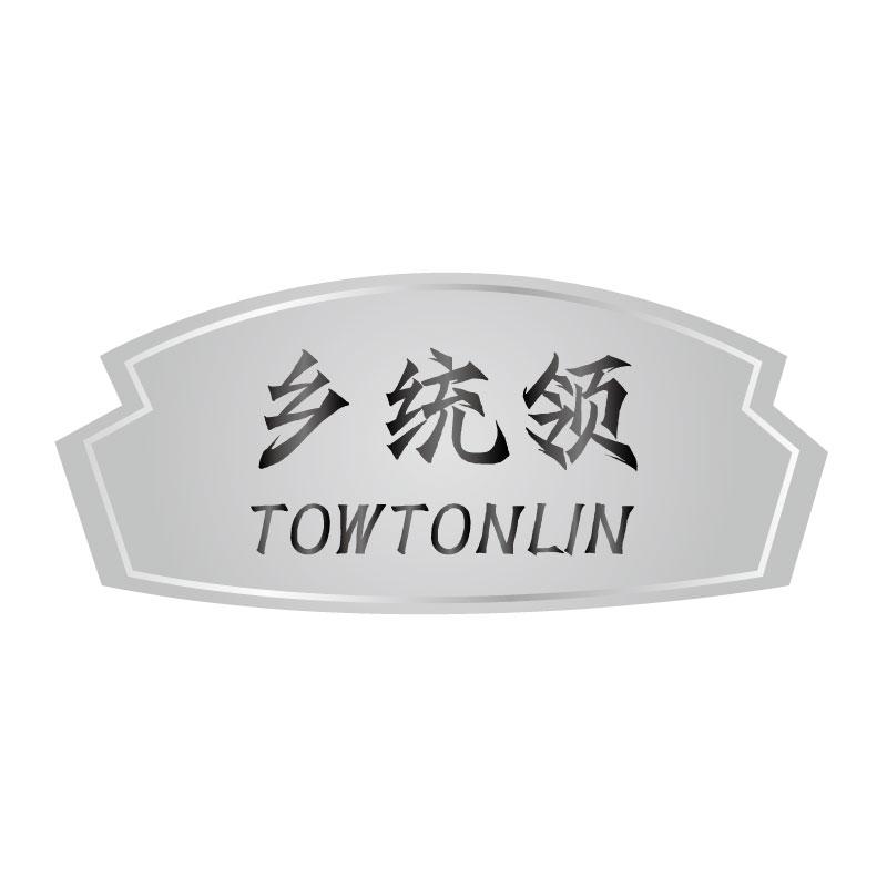乡统领TOWTONLIN