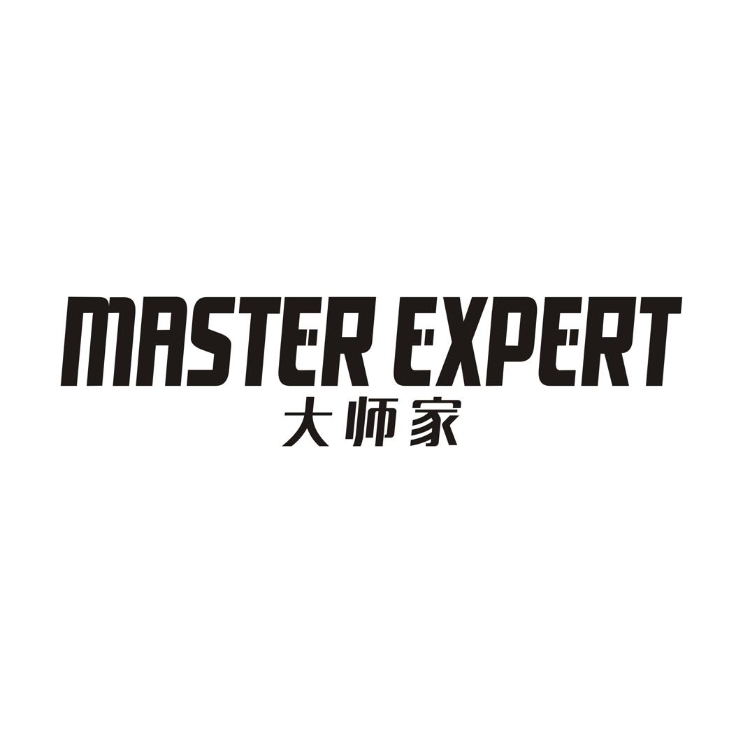 大师家MASTER EXPERT