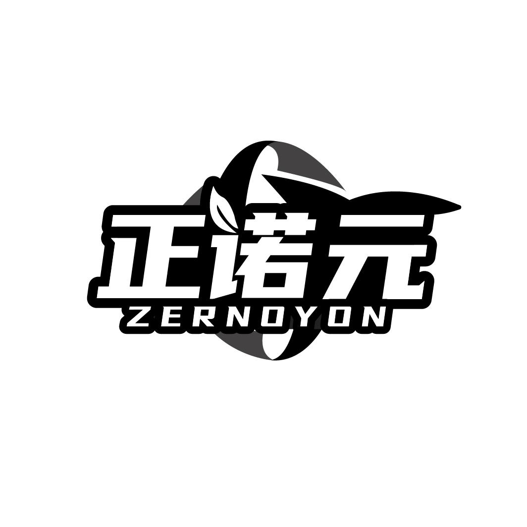 正诺元
ZERNOYON