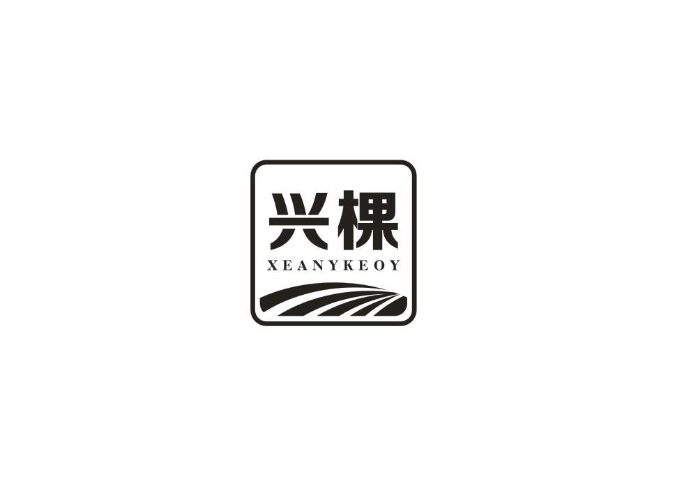 兴棵