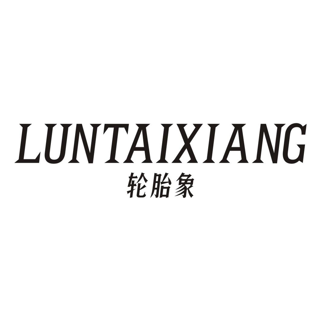 轮胎象