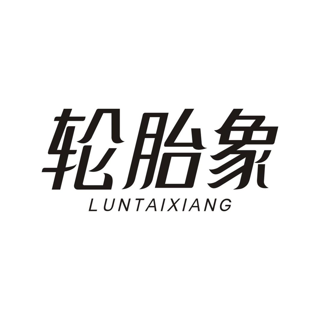 轮胎象