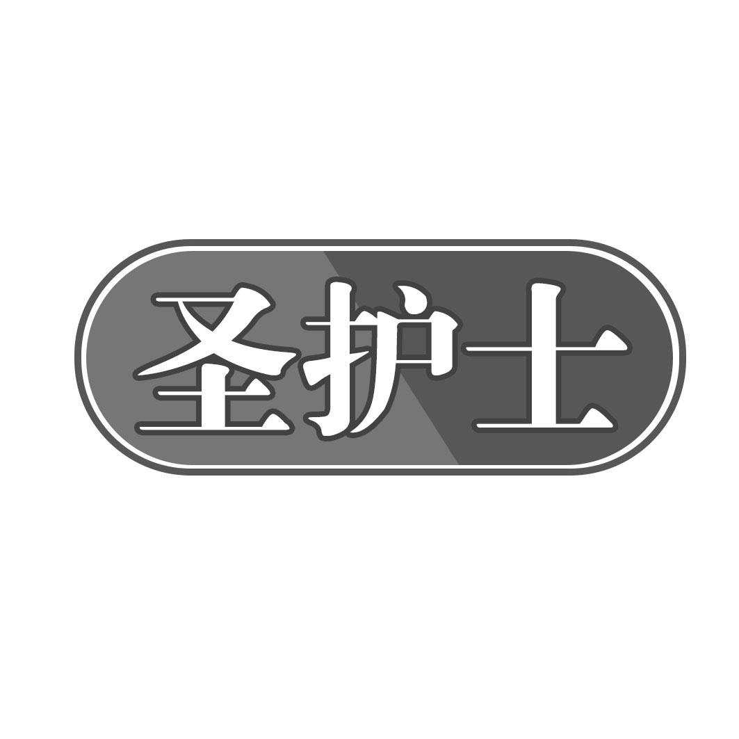 圣护士