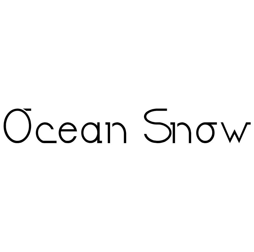 OCEAN SNOW