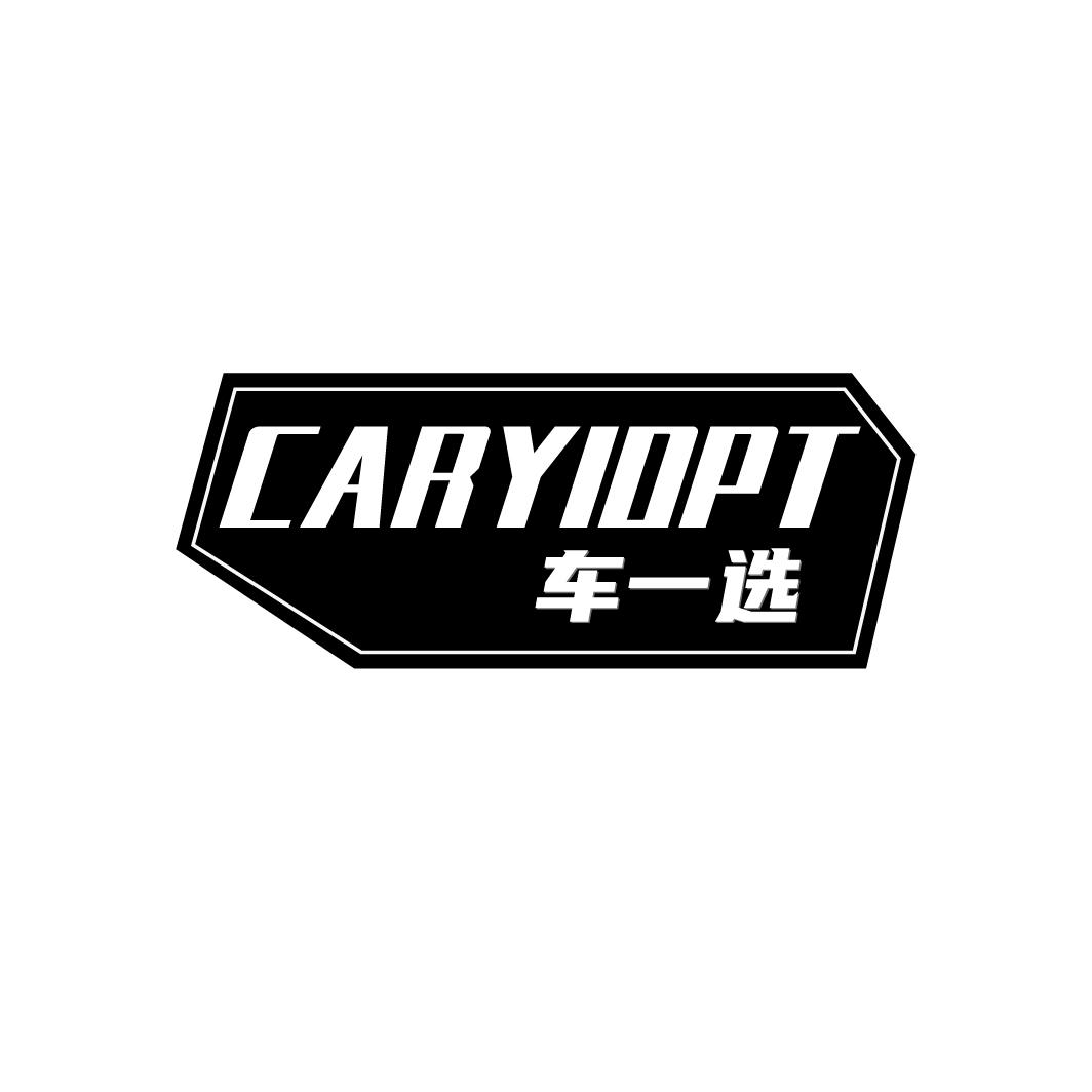 车一选
CARYIOPT