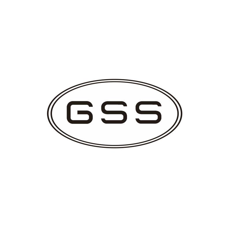 GSS