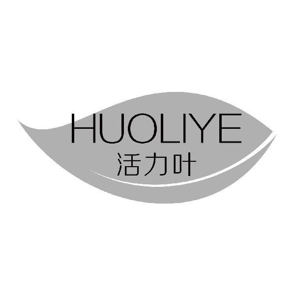 活力叶
huoliye